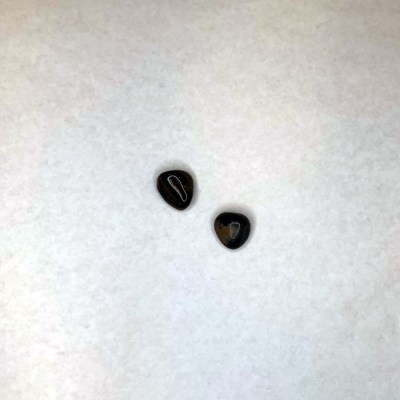 Black-Onyx